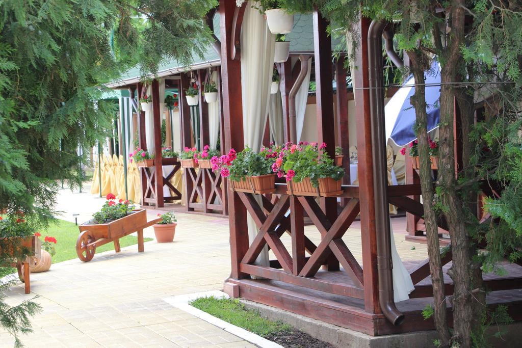 Vila Royal Urziceni المظهر الخارجي الصورة