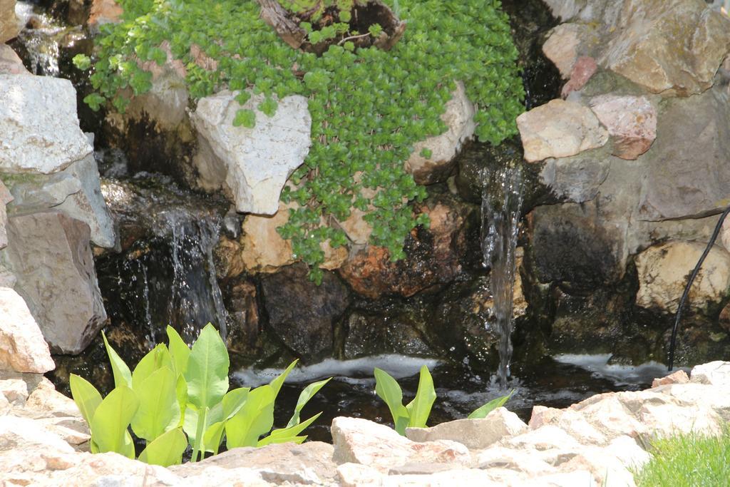 Vila Royal Urziceni المظهر الخارجي الصورة